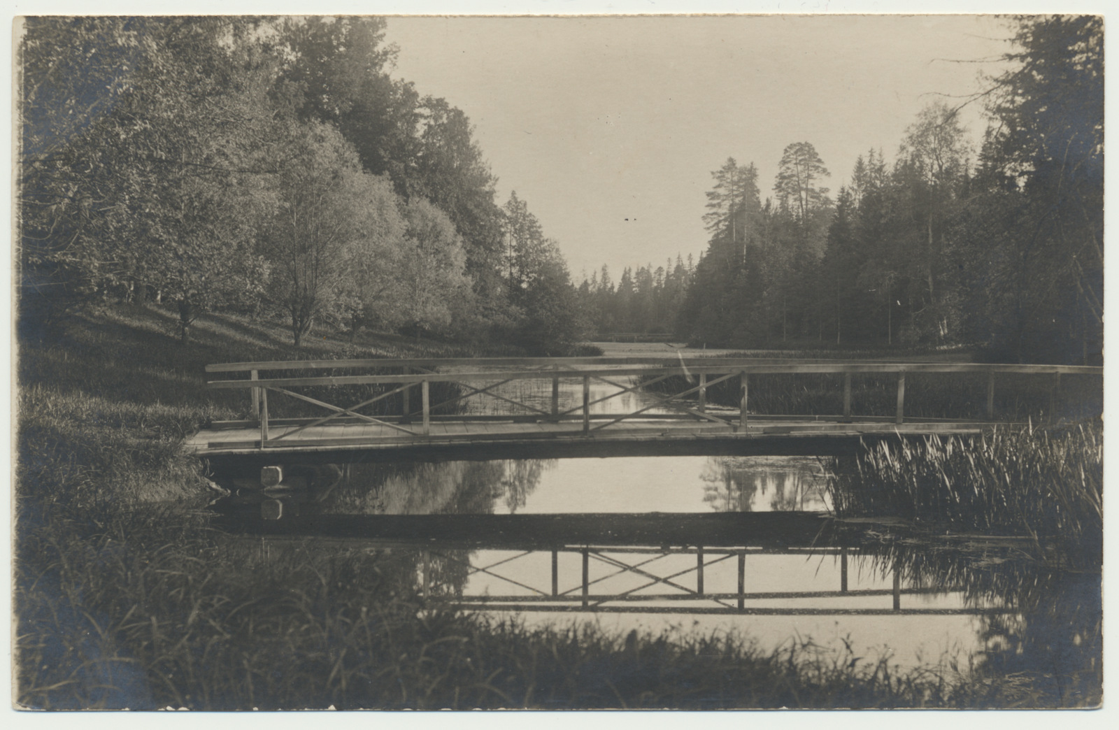 fotopostkaart, Karksi khk, Polli mõisapark, Kutsiku järv, Roheline sild u 1915