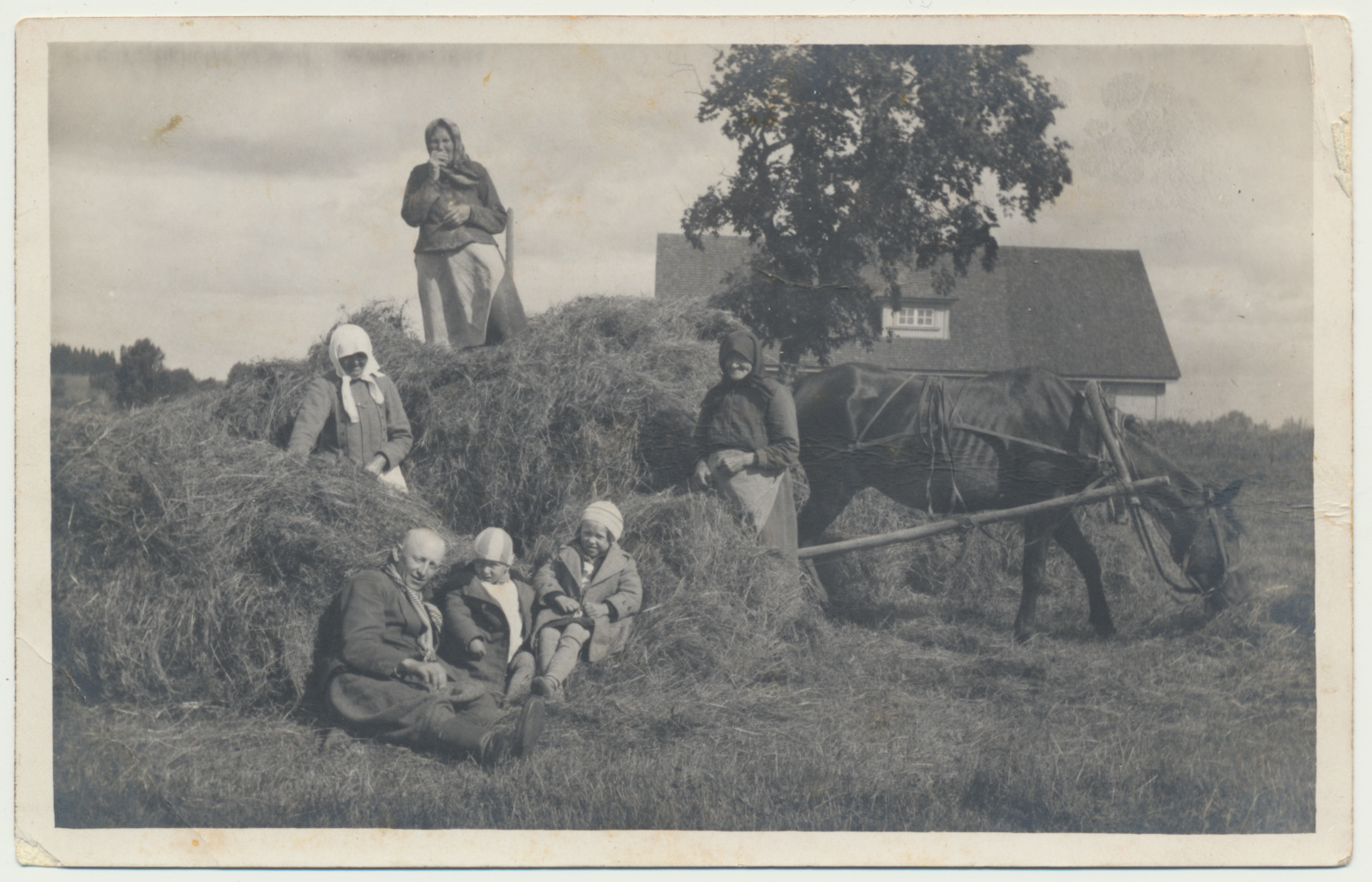 fotopostkaart, heinategu Polli valla Saviaru vanadekodu lähistel 1935