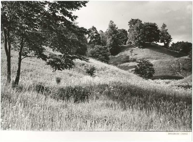 foto Viljandi lossimäed 1956 foto E.Veliste