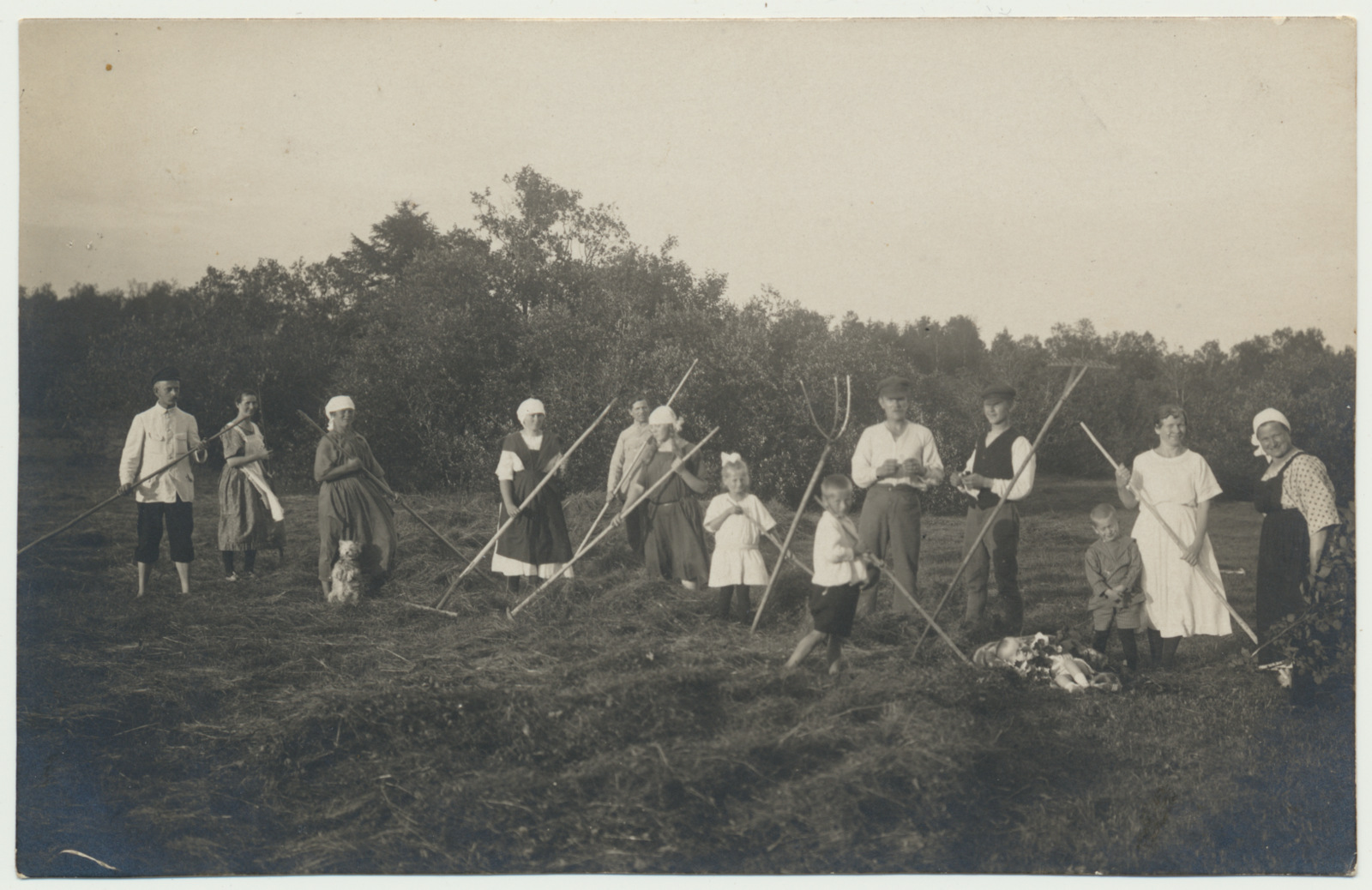 foto, Pilistvere khk heinategu, Barlo'd, Evard'id 1935