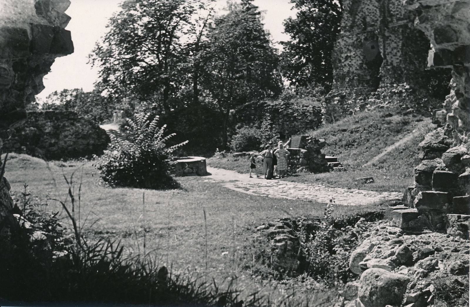 foto Viljandi lossimäed, Kaevumägi, u 1960 F A.Kiisla