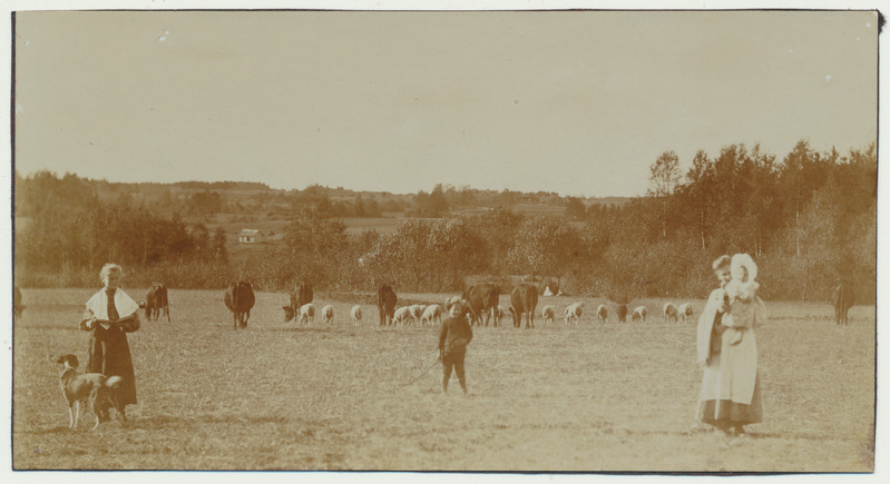 foto Viljandimaa Holstre v loomakari, karjapoiss jt, koer u 1915 foto H.Silk