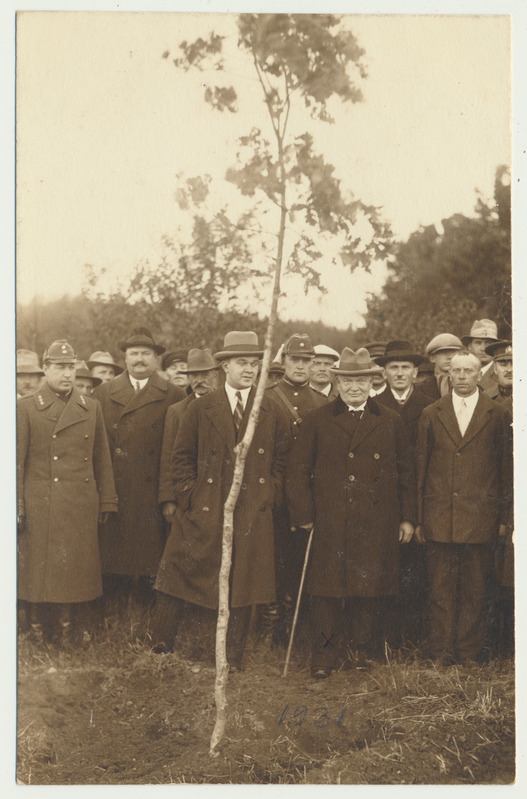foto riigivanem K.Päts, Viljandimaal Holstre v Pätsiveski t, tamme istutus 04.10.1931 foto A.Järvekülg
