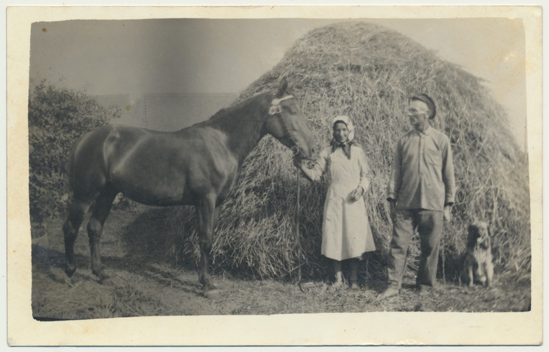 foto Viljandi khk Vana-Võidu v Õunapuu talu, Kata ja Juhan Marjak, hobune, hein u 1936
