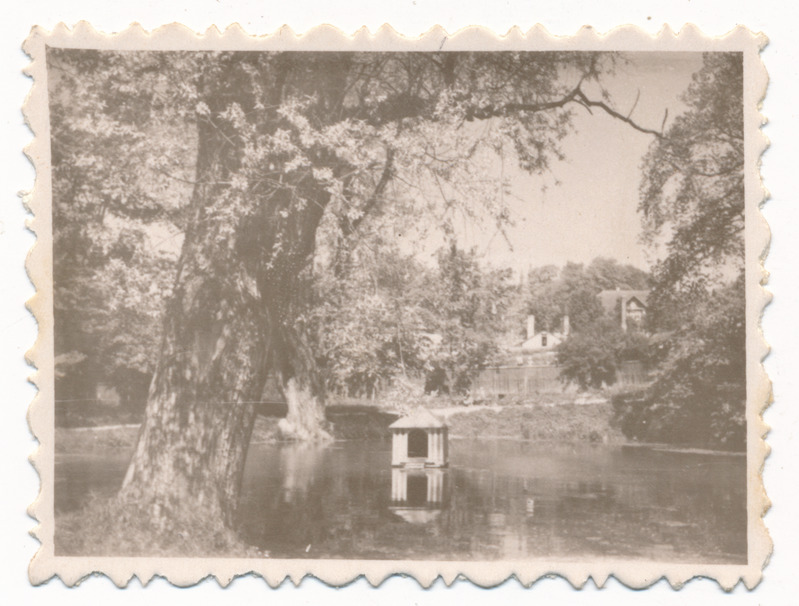 foto, Viljandi, Hariduse tn, Miilitsa (Mõisa) tiik, luigemaja u 1960