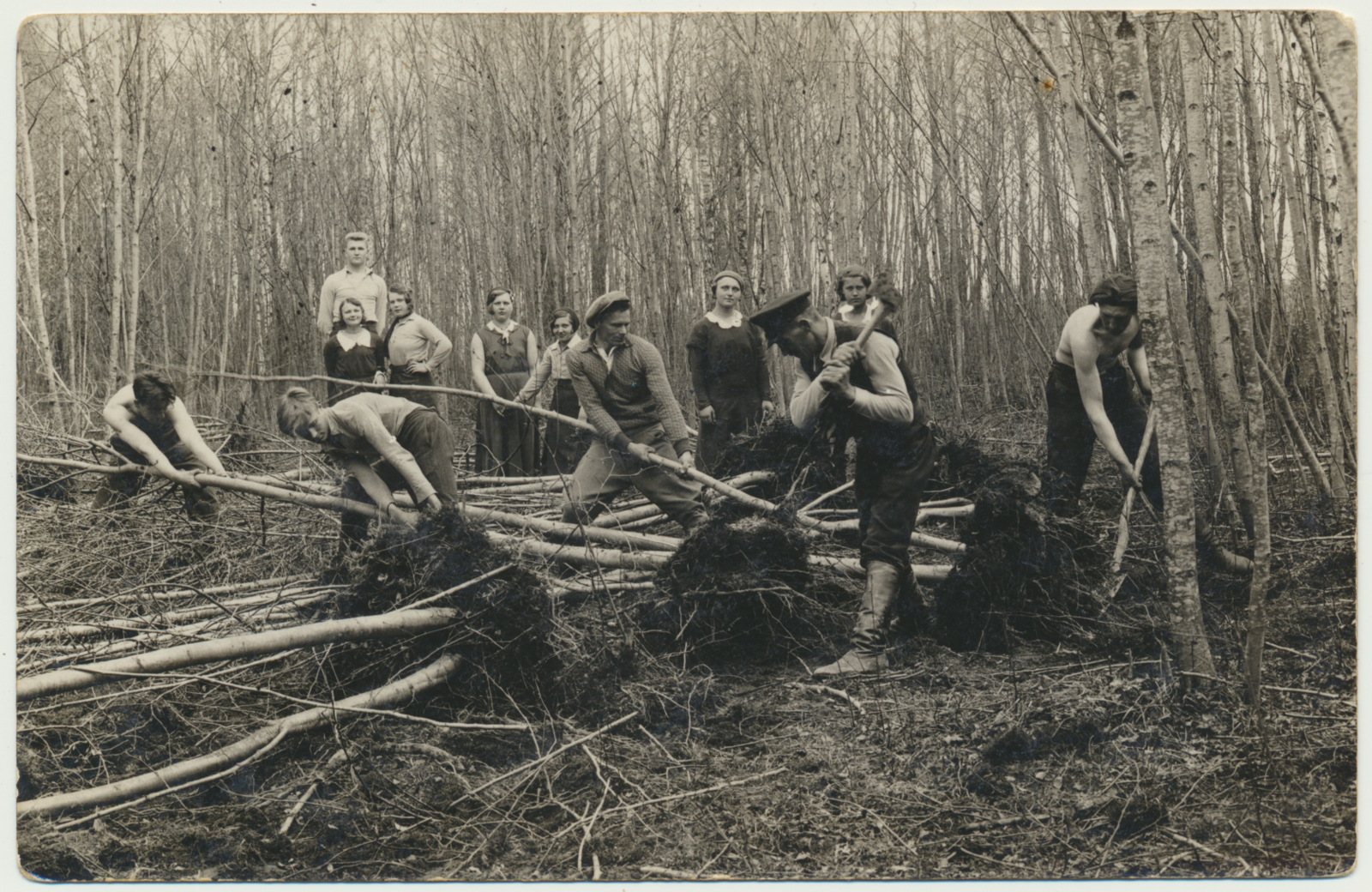 foto, metsatööd u 1935 Viljandimaa?