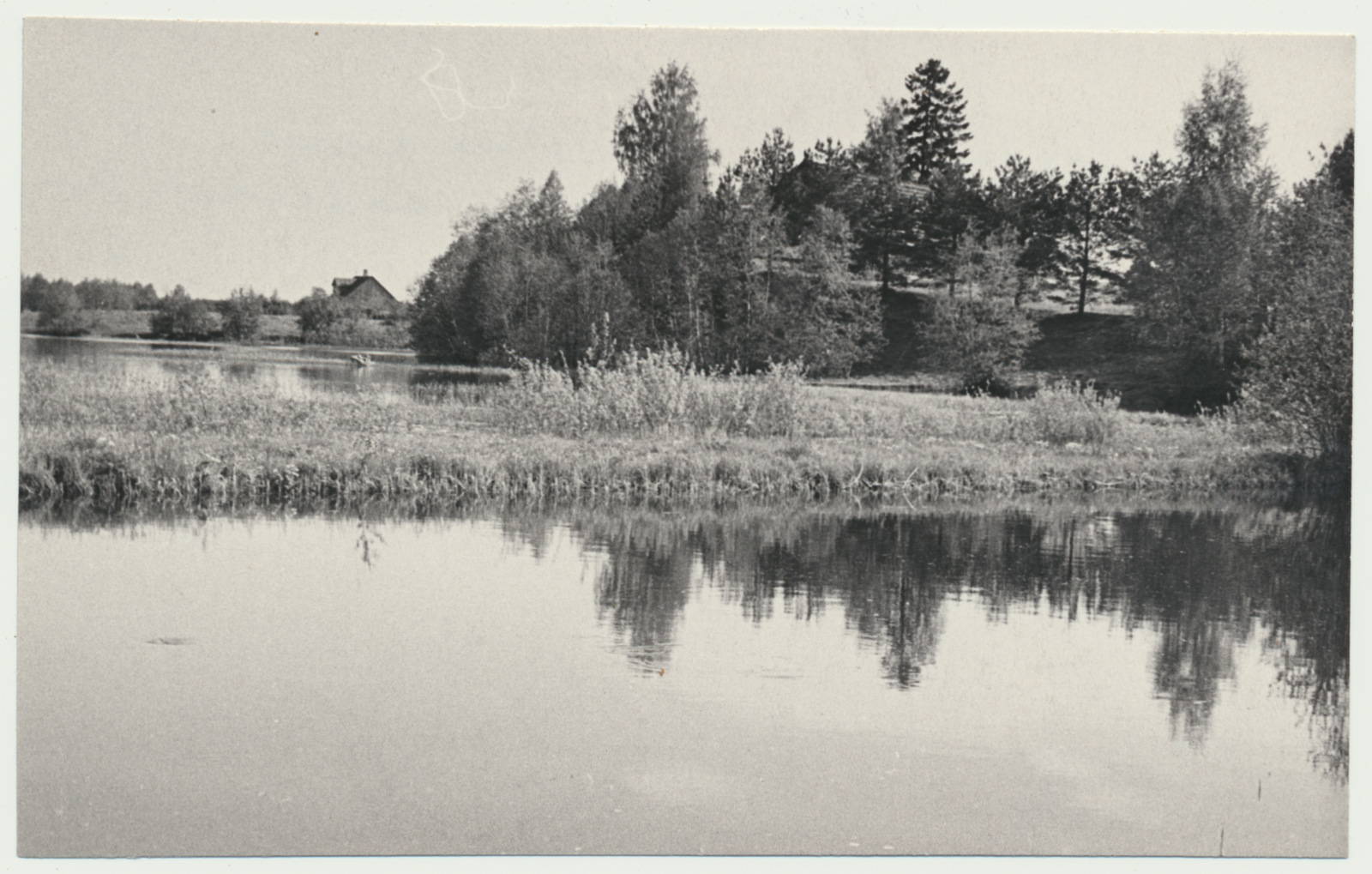 foto Viljandimaa, Väljamäe nõlvak Veskijärve kaldal (M.Veske kodukoht) u 1965 F A.Kiisla