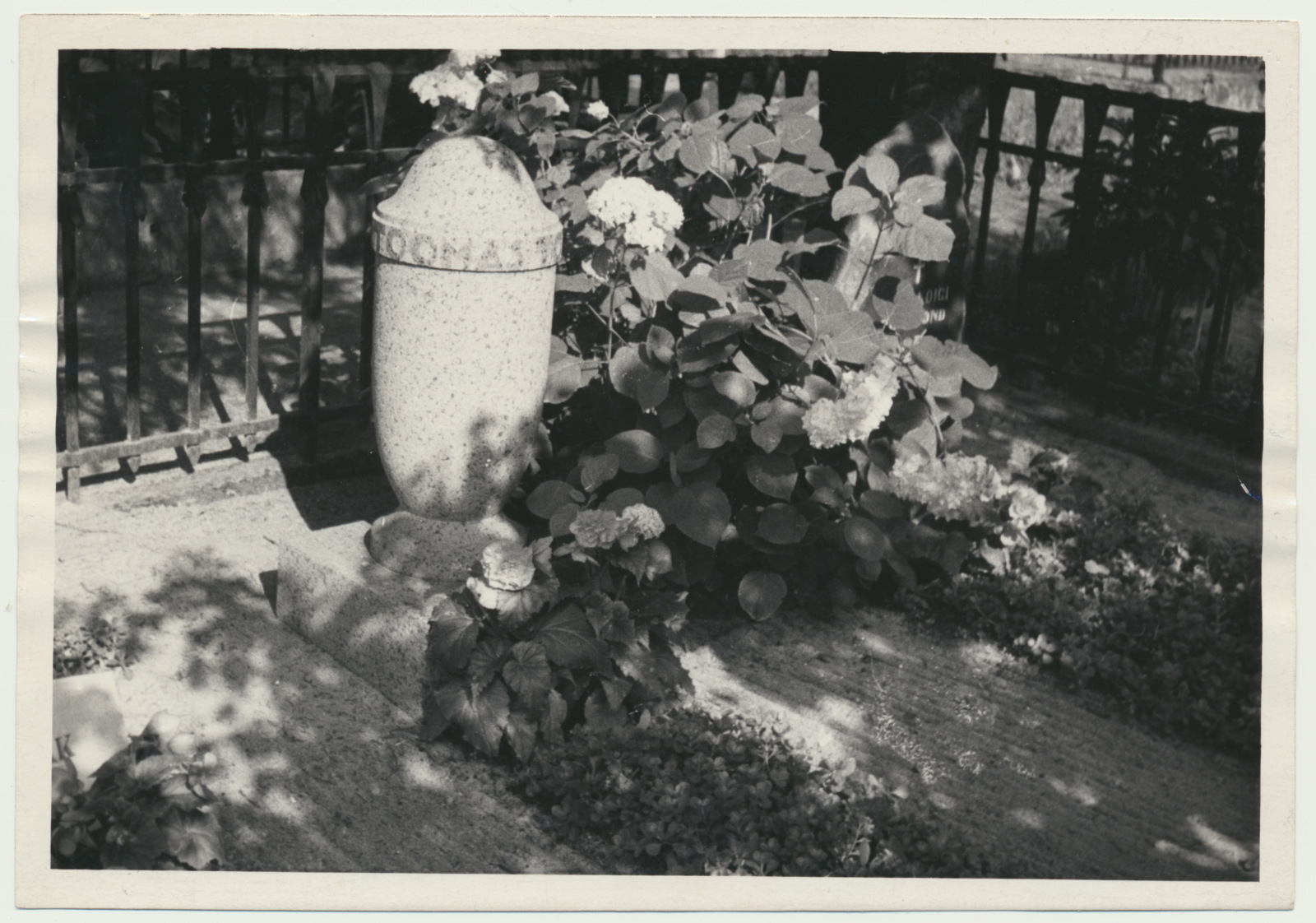 foto Viljandi Vana kalmistu, T.Tondu haud, 1966 F A.Kiisla