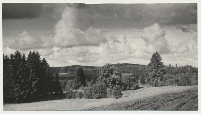 foto Viljandimaa,Pollimäed Paistus 1963