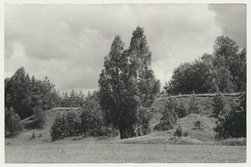 foto Viljandimaa, Varesemäed 1959