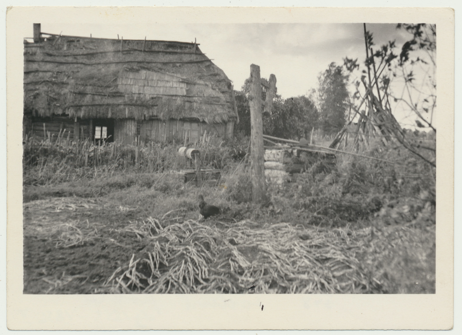 foto Pilistvere khk Imavere k/n, nn Krimmi saun 1961, foto A. Kiisla