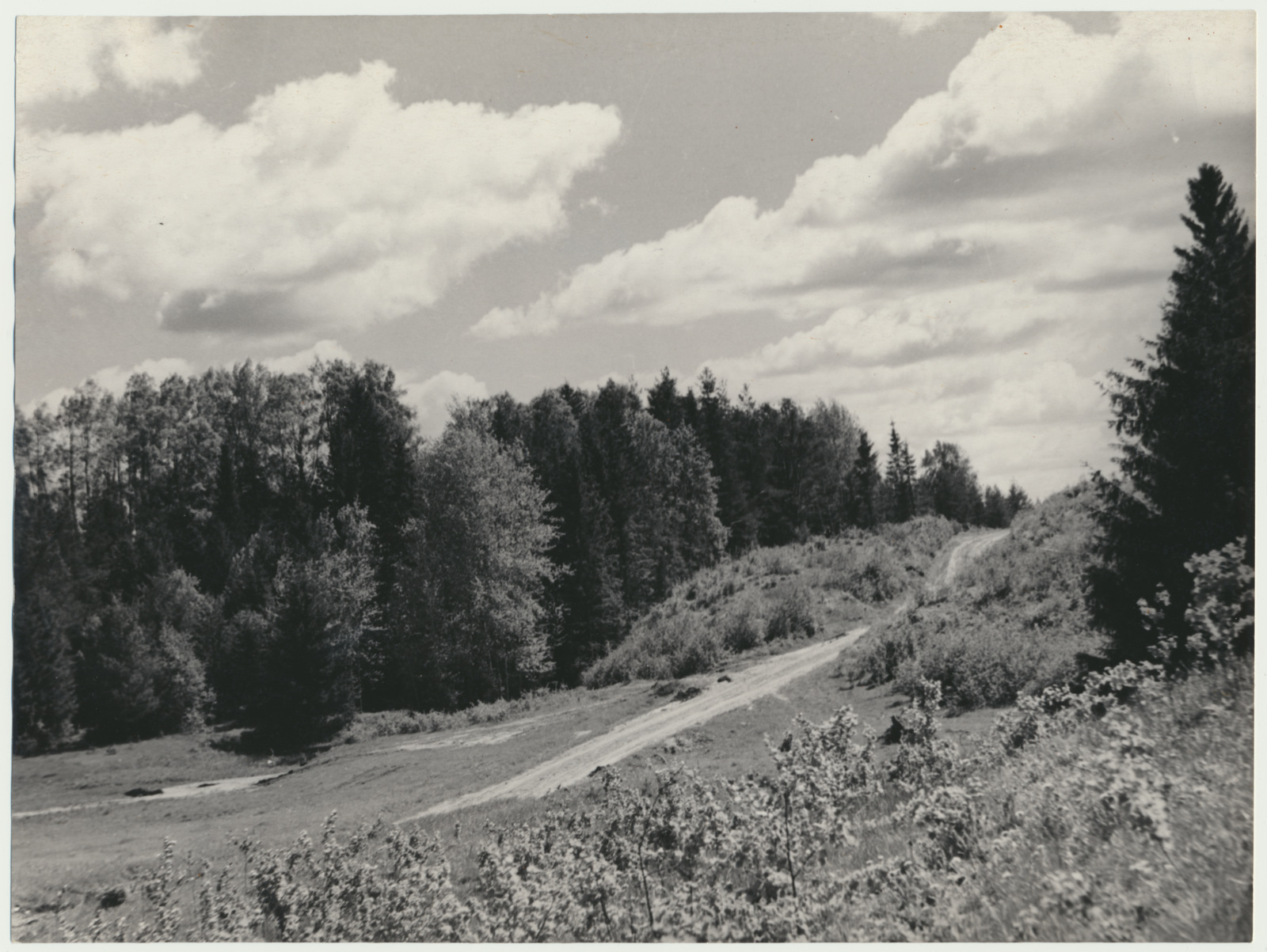 foto Saarepeedi maastik, Naanu linnamägi, 1949 F A.Kiisla