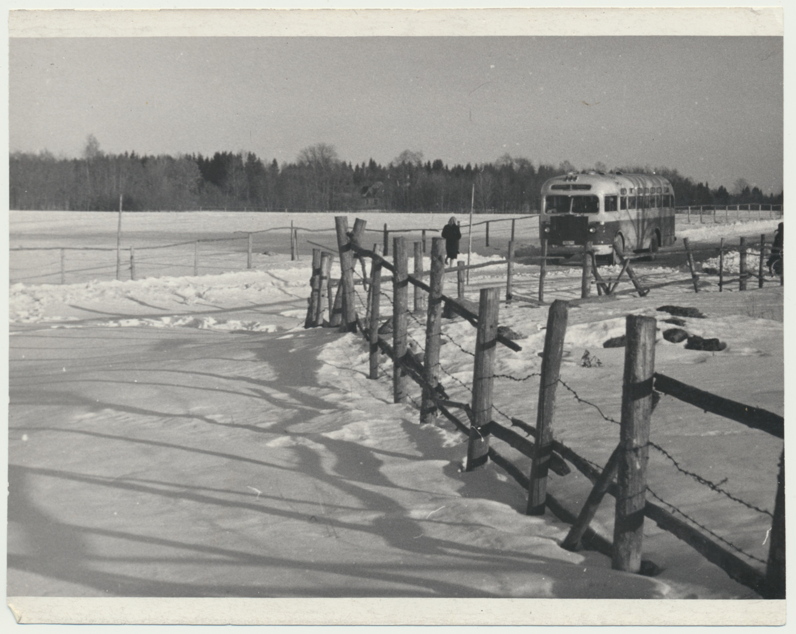 foto Pahuvere, Meltsa sauna ase (varemed), siin võeti kinni 1921 Jaan Tomp, 1964 foto A.Kiisla