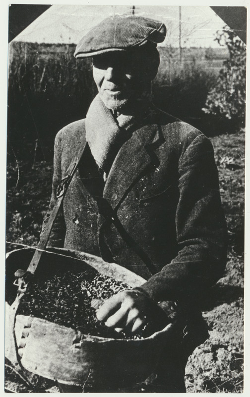 fotokoopia, Eesti, talumees käsitsi külvamas u 1935