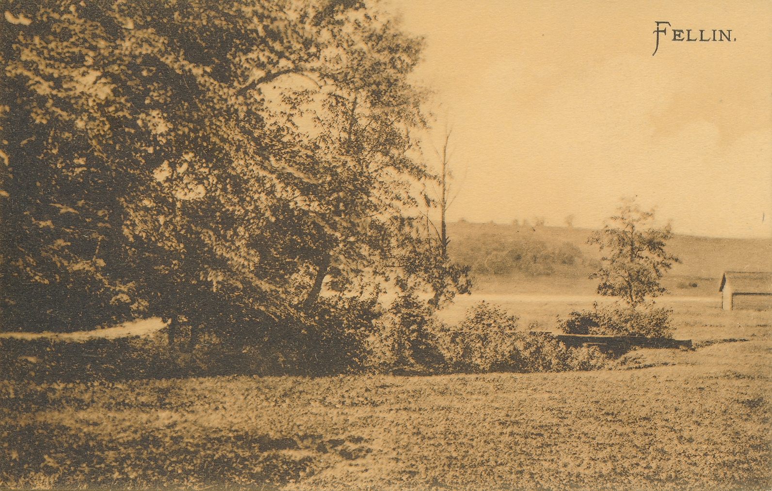 trükipostkaart Viljandi Valuoja org