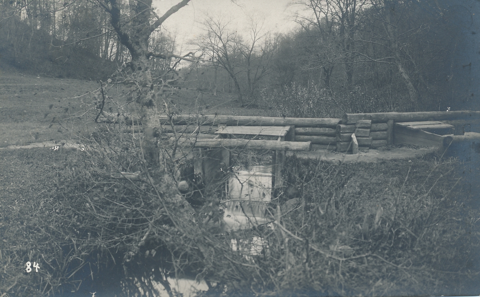 foto, Viljandi, Valuoja org ja oja enne järve suubumist u 1910 F J.Riet