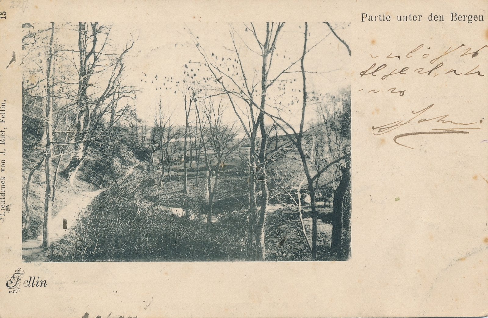 trükipostkaart Viljandi Valuoja org enne Viljandi ürgorgu u 1905 foto ja valgustrükk J.Riet