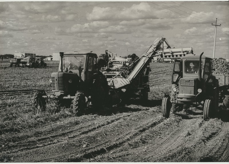foto J.Gagarini nim. Näidissovhoostehnikum, kartulikombainid, 1975
