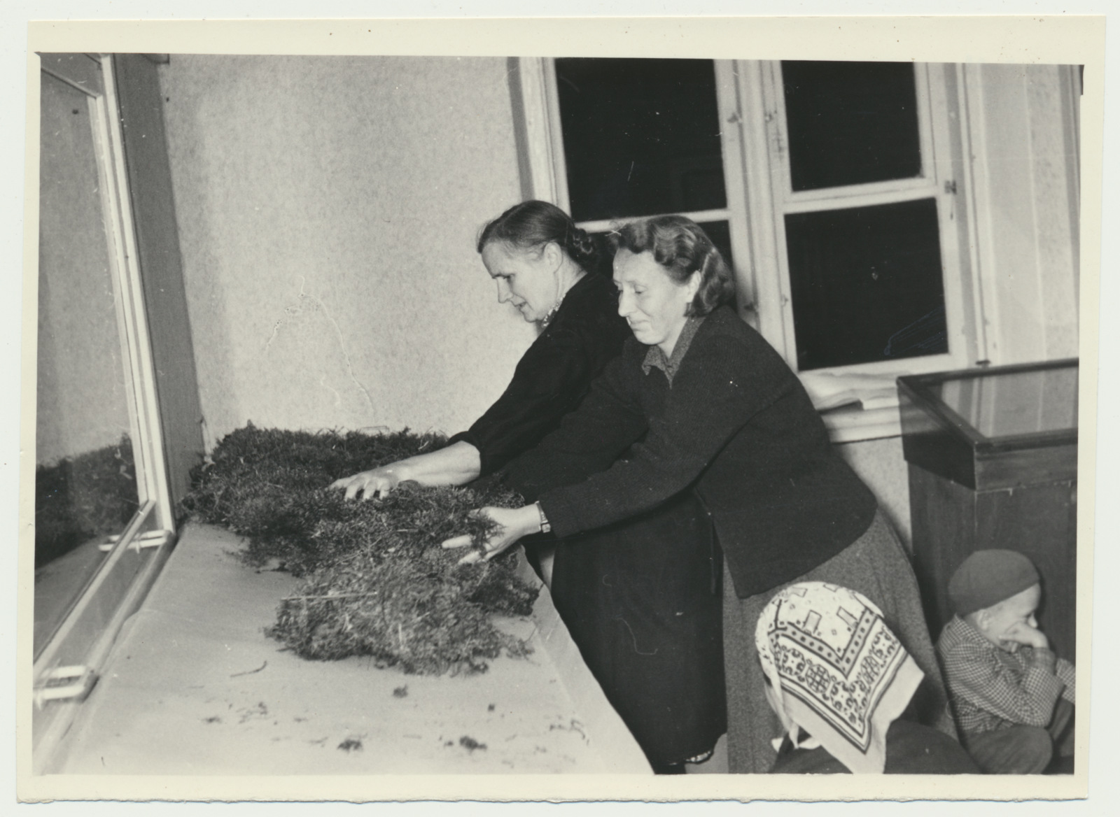 foto Viljandi muuseum, seenenäitus 1960 foto U.Roosimaa