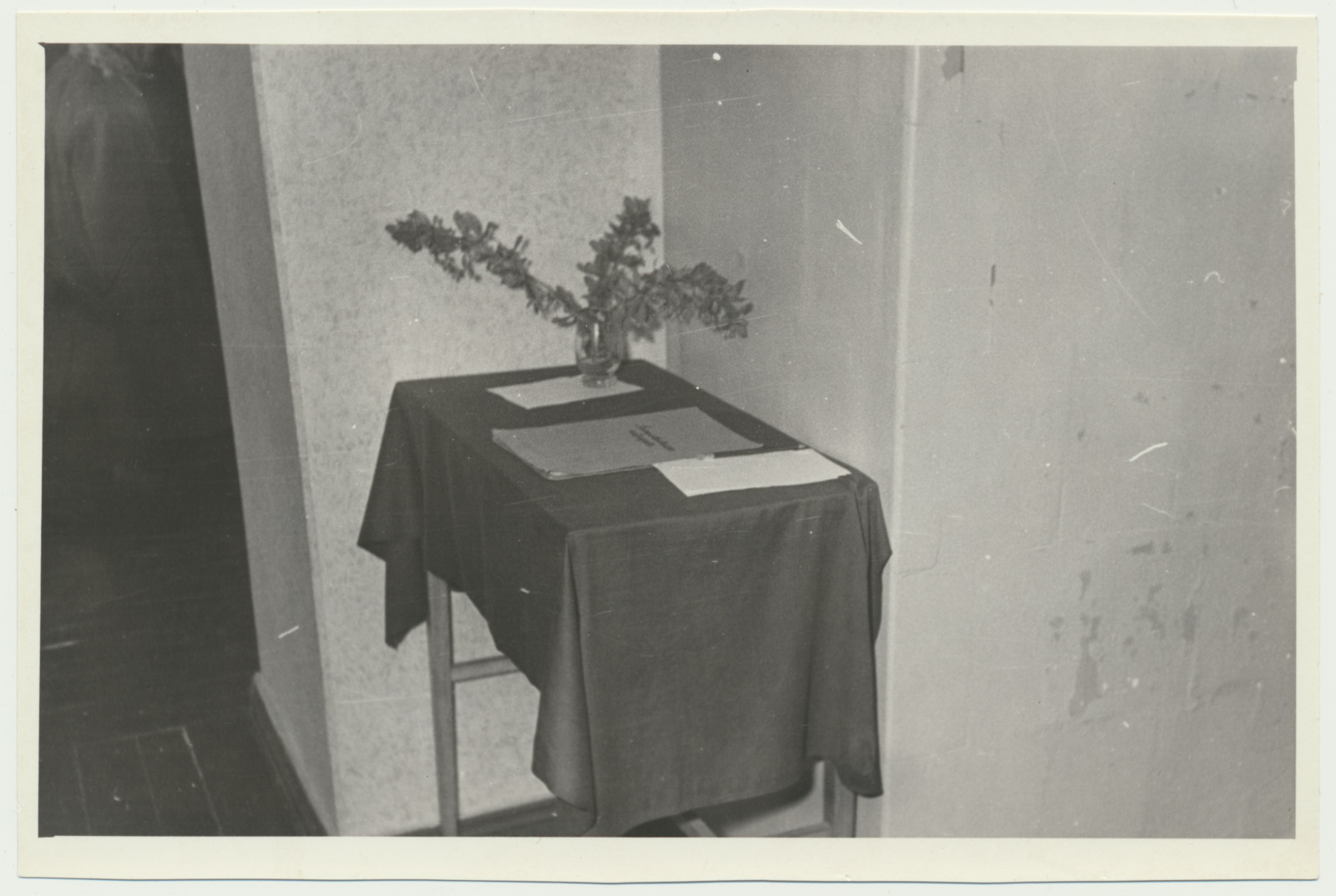 foto Viljandi muuseum, seenenäitus 1960 foto U.Roosimaa