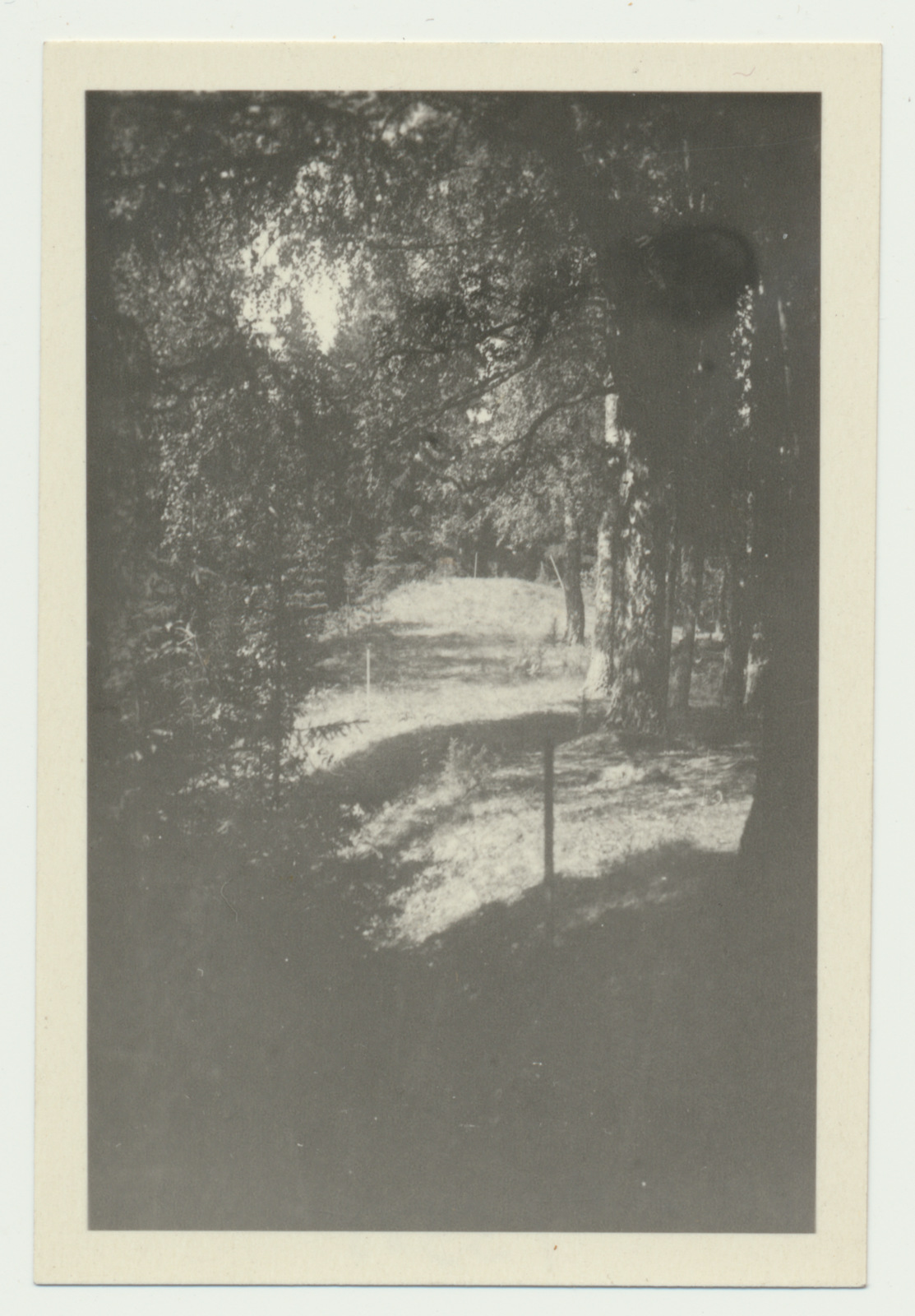 foto Arheoloogilised väljakaevamised, Naanu linnamägi 1952 foto Harri Moora