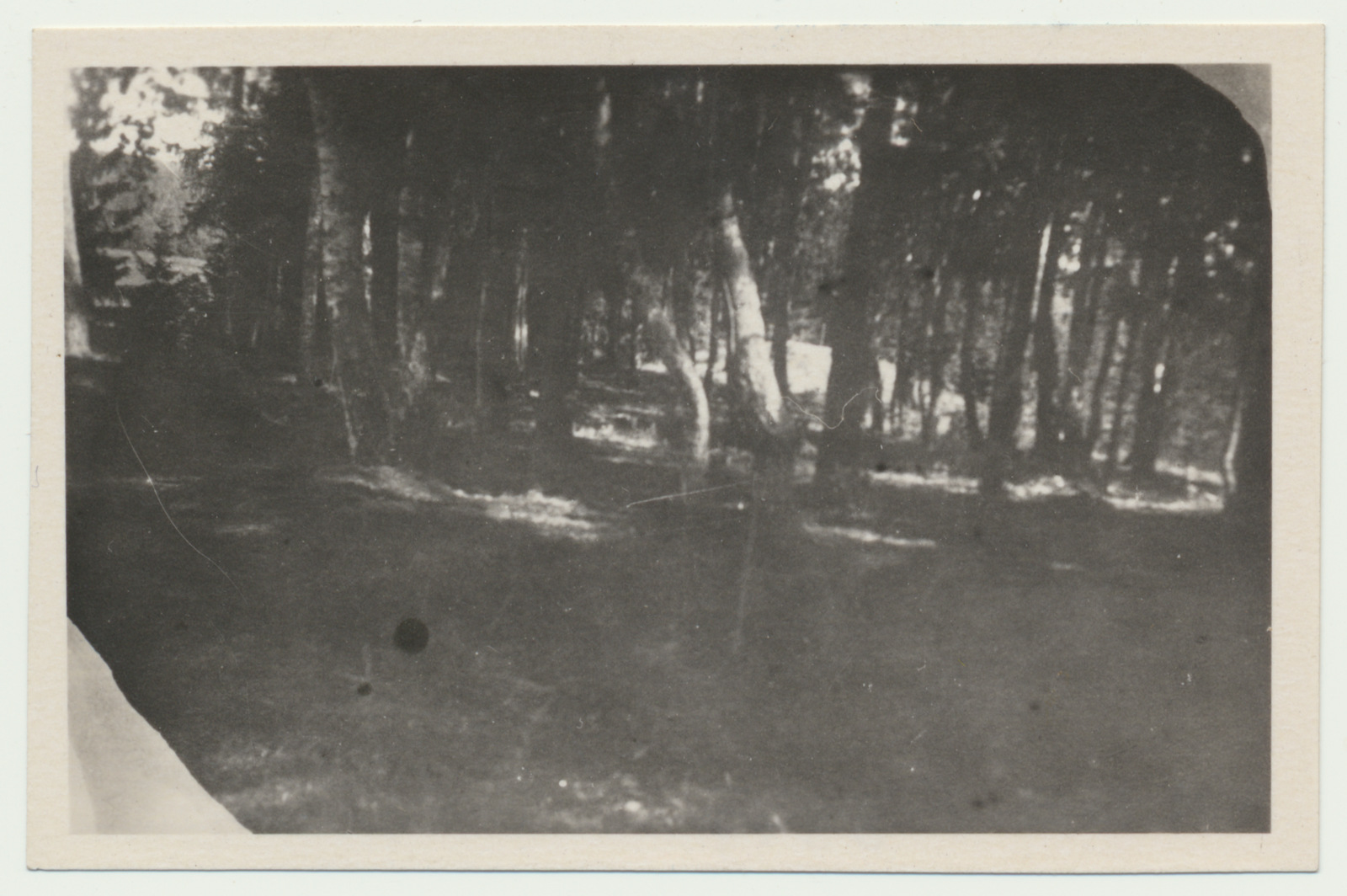 foto Arheoloogilised väljakaevamised, Naanu linnamägi 1952 foto Harri Moora