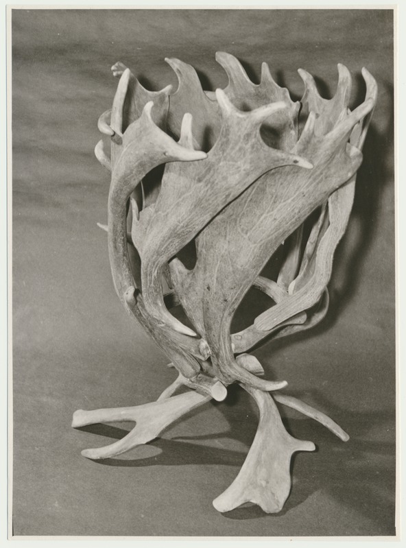 foto Viljandi muuseum, põdrasarvedest paberkorv, 1960 foto R.Maran