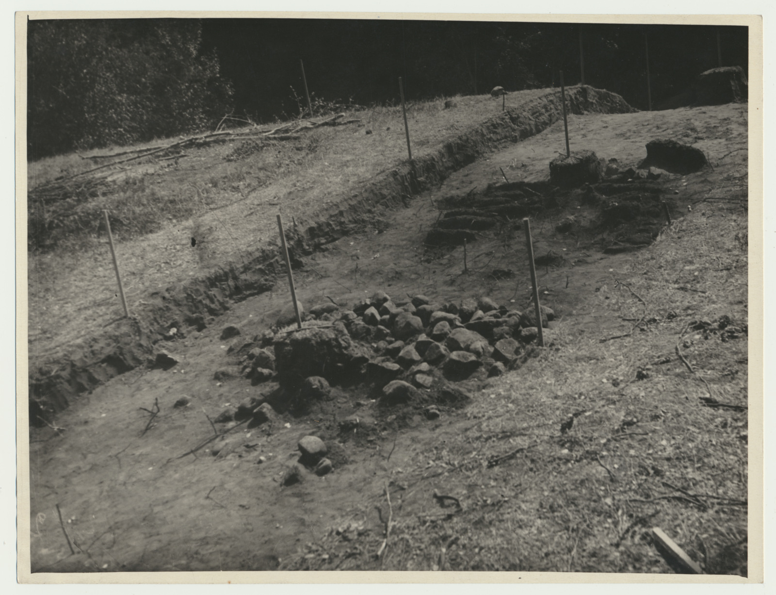 foto Naanu linnus (linnamägi), arheoloogilised väljakaevamised 1952