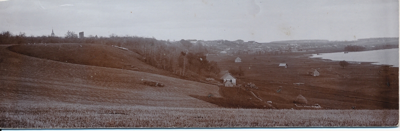 foto, Viljandi, Huntaugu ja järveäärne heinamaa küünidega, taamal linn, u 1910 F J. Riet