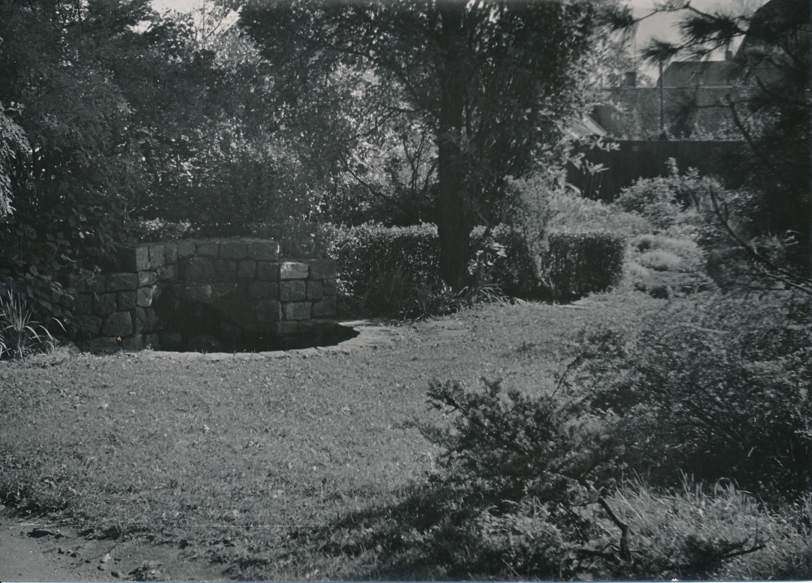 foto Viljandi Riet'i dendropark 1960 F A.Kiisla