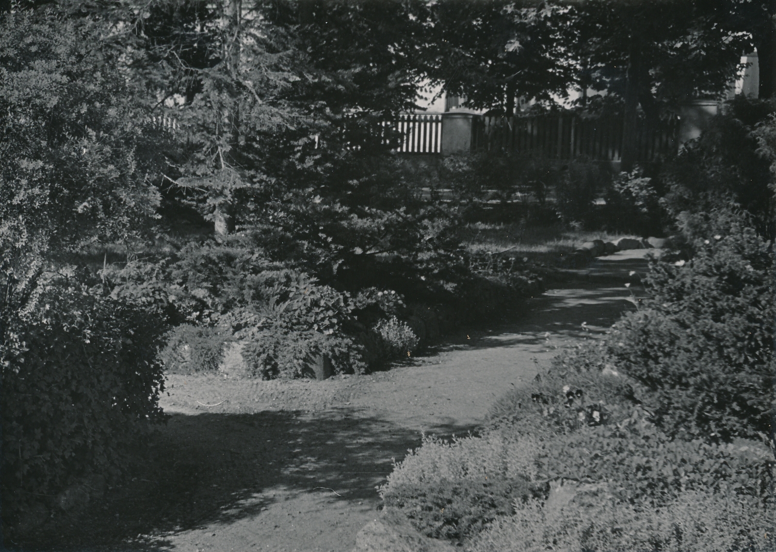 foto Viljandi Riet'i dendropark 1960 F A.Kiisla