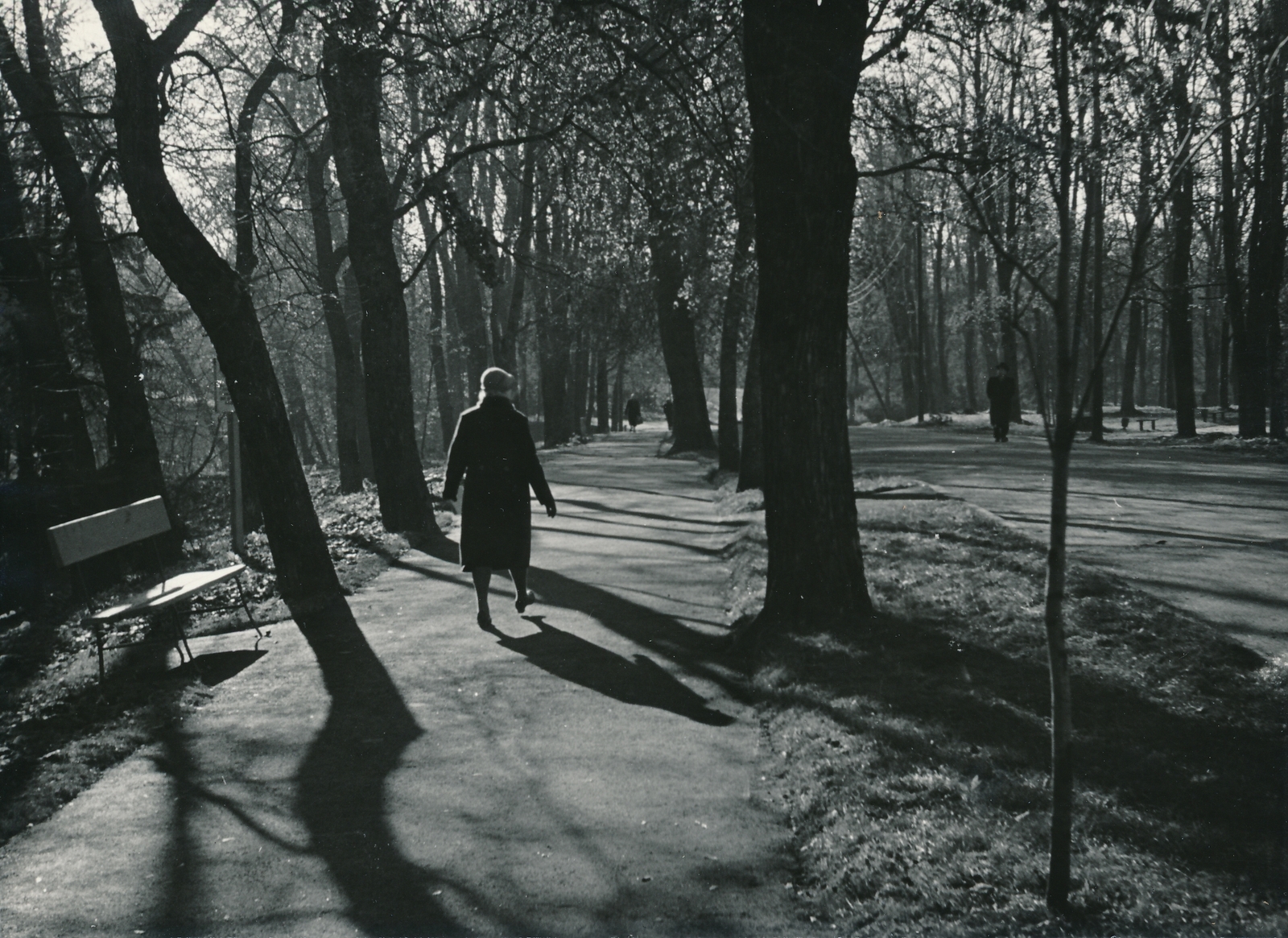 foto Viljandi Tasuja pst 1960 F A.Kiisla