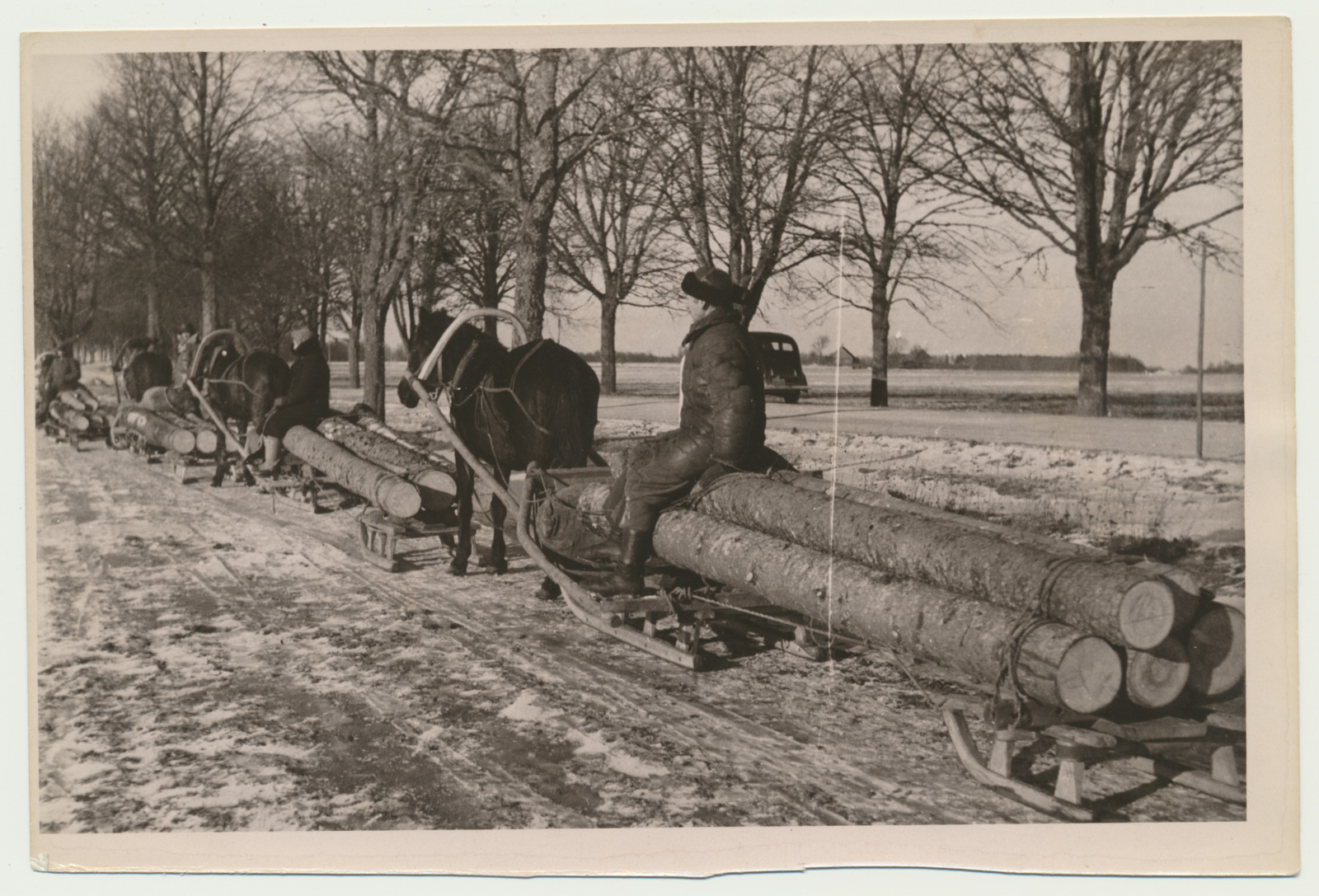 foto, Viljandimaa, Olustvere, talupojad veavad metsanormi, u 1947, foto A. Vanamõis