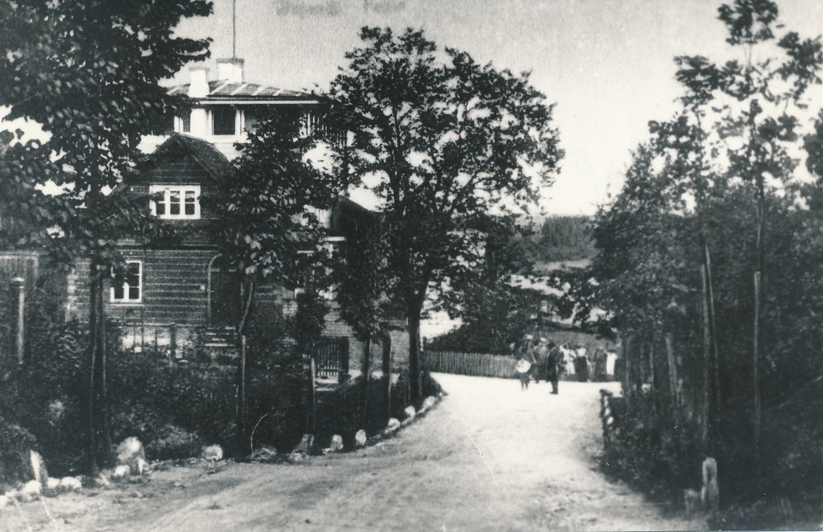 fotokoopia Viljandi Trepimägi, ülaosa u 1920