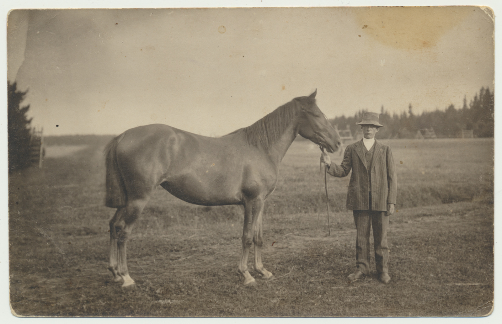 foto, Kangrumatsi talu Viiratsi vald Peeter Niglas 1915