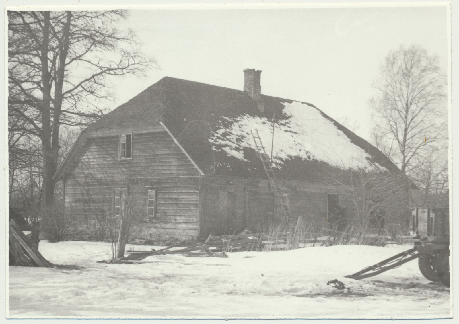 foto, Viljandimaa, V.Reimanni sünnikodu Pauna talu u 1965
