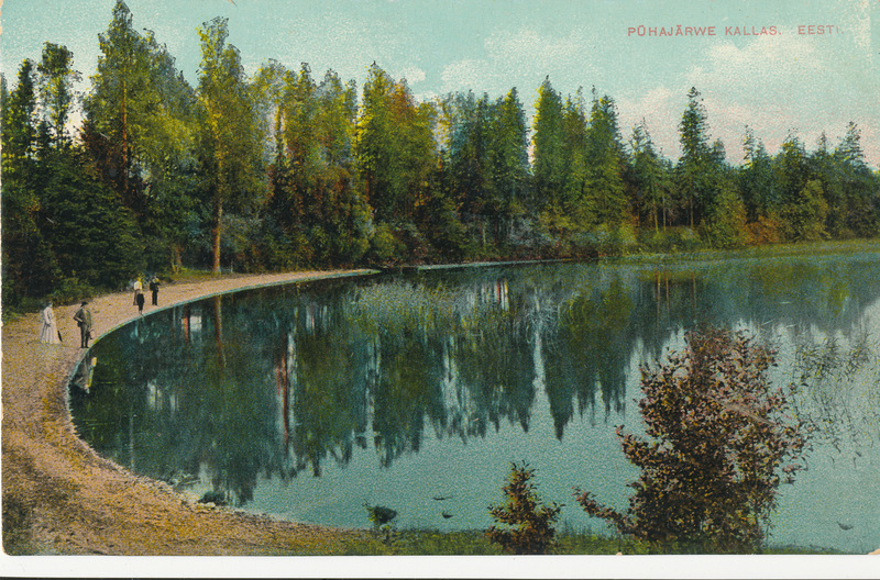 Värviline trükipostkaart: Pühajärve kallas u 1910