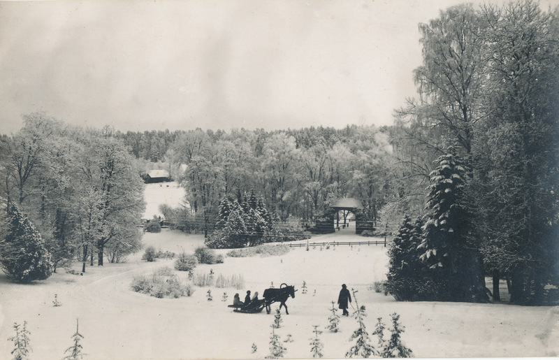 Fotod Eineri perekonnast.Talvine maastik Taagepera lossi lähistel.