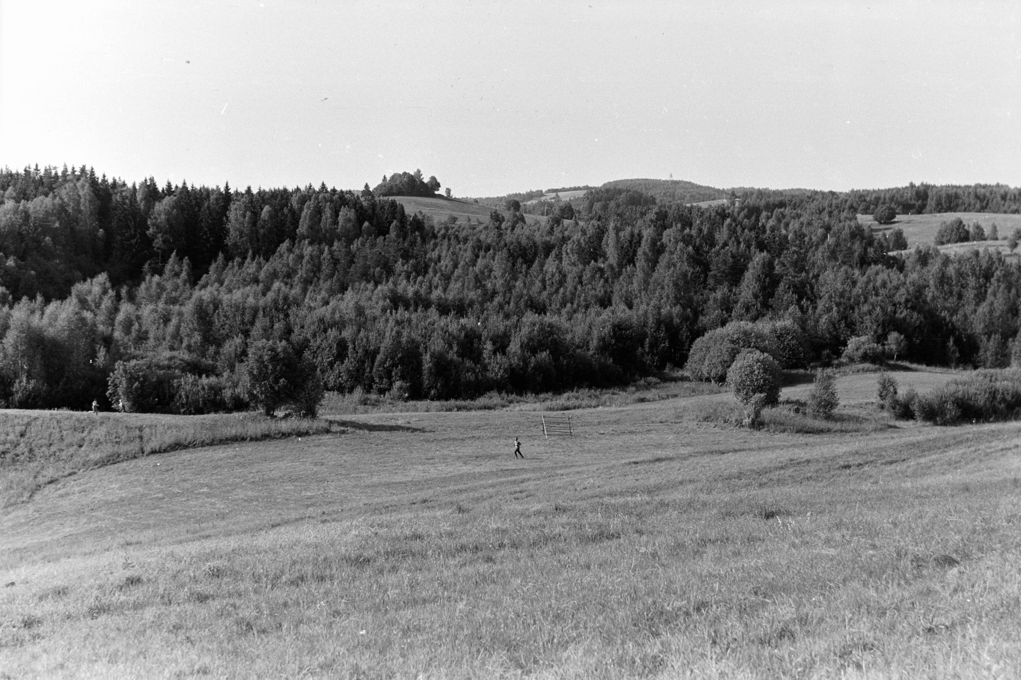 Kääriku Dark. Day I. 7.8.75