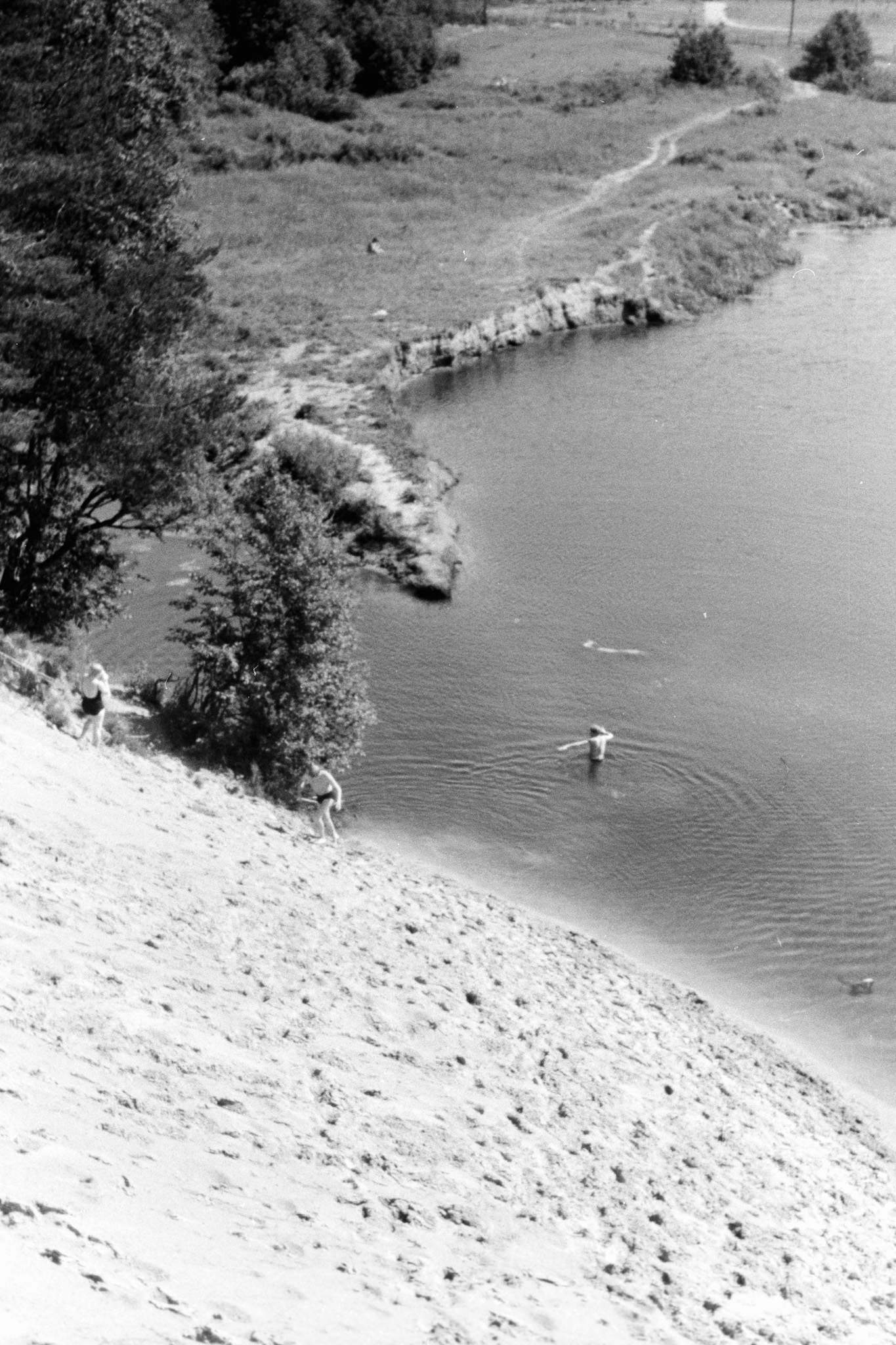 Cloud forest. 24.6.68