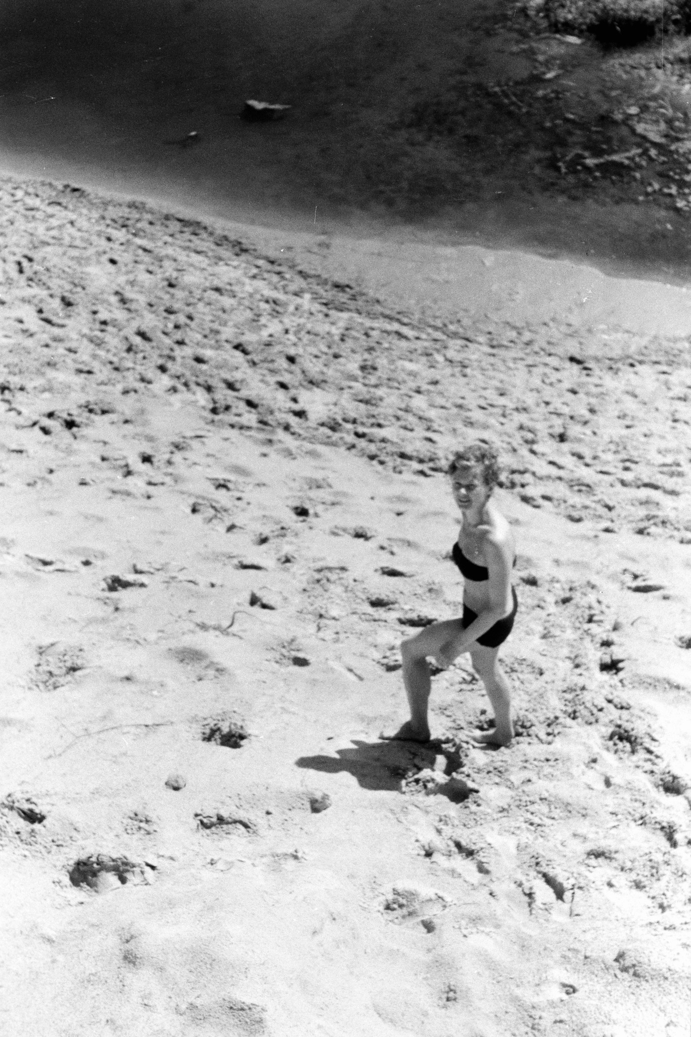 Cloud forest. 24.6.68