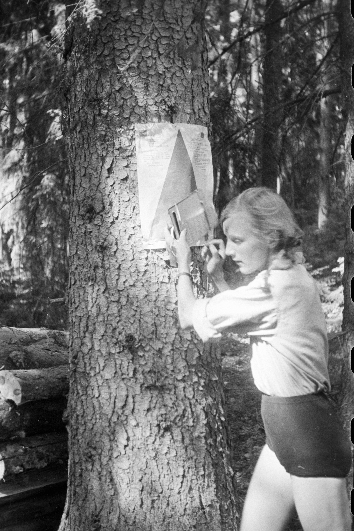 Vehendi Competition. 13 June 65