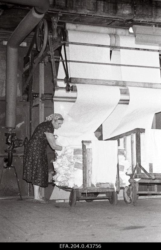 Sindi Textile Factory 1. December cotton clothes finishing department employee Olga Starval pulling out the fabric from the new clothes dryer.