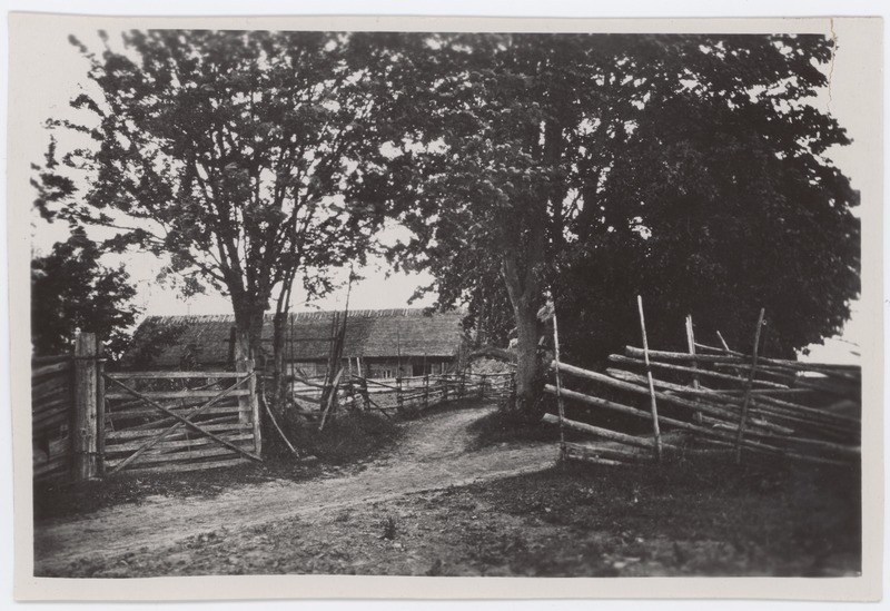 Vaade Tammsaare- Põhja talule