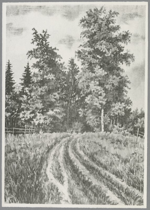 Fotod kirjaniku kodukohast ja selle ümbrusest. Tee Tammsaare mäelt soosillale.