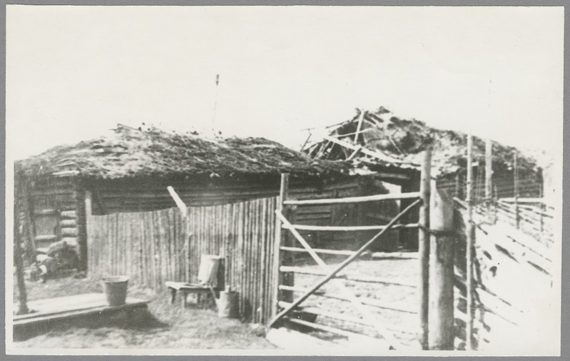 Fotod kirjaniku kodukohast ja selle ümbrusest. Tammsaare-Põhja talu laut