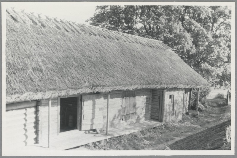 Tammsaare- põhja talu ait