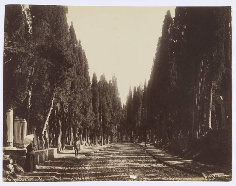 Türgi surnuaed Scutaris