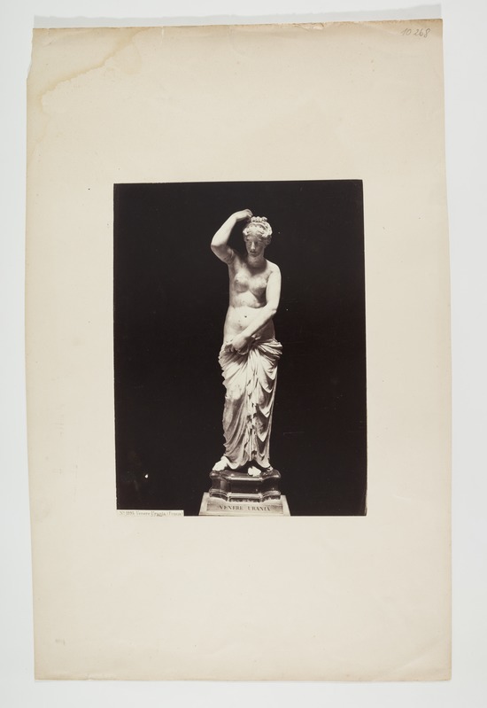 Aphrodite Urania. Skulptuur Firenze muuseumis