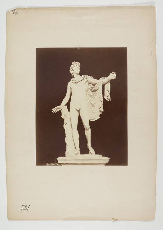 Belvedere Apollon. Skulptuur Vatikani muuseumis Roomas